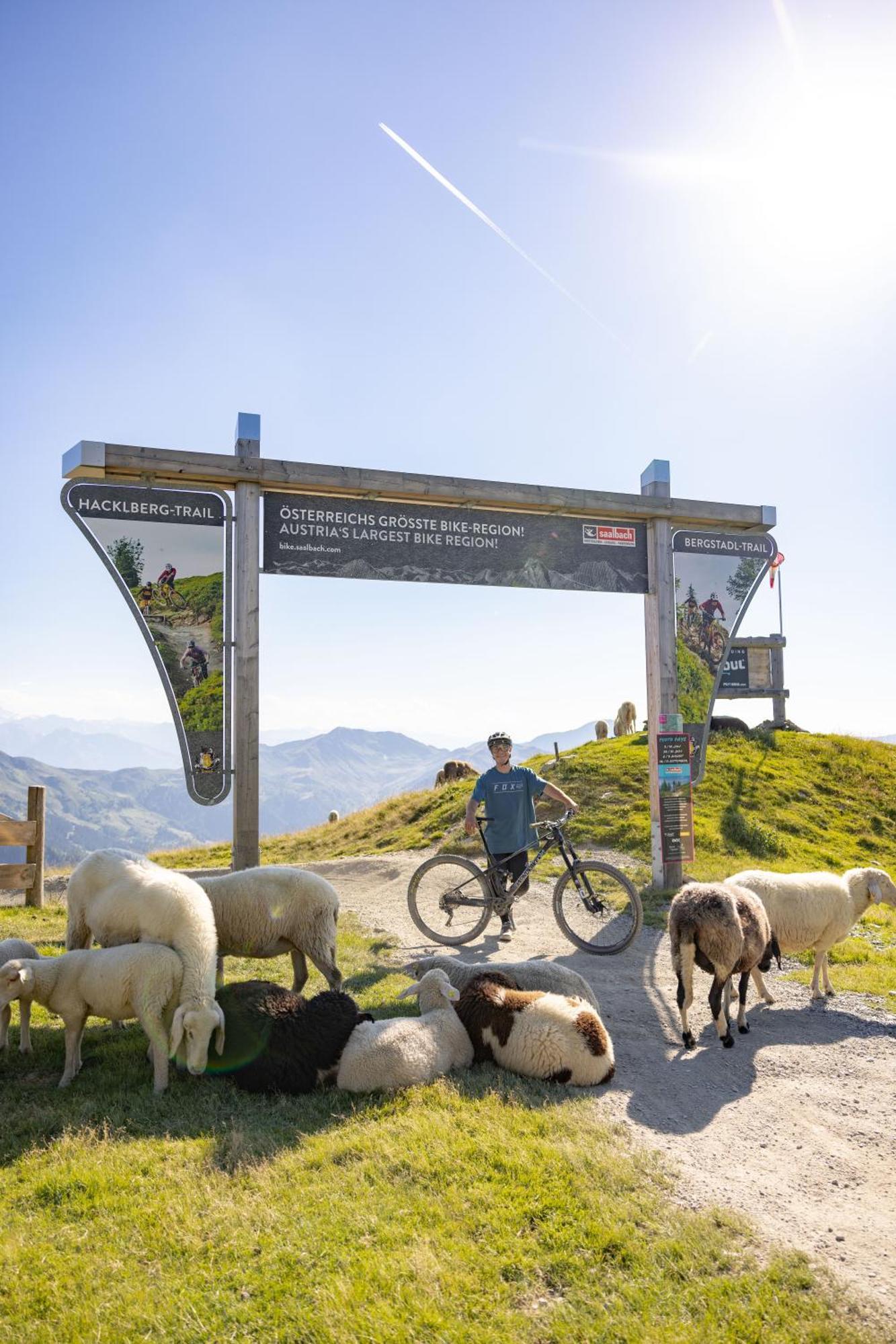 Apartments Landhaus Saalbach Экстерьер фото